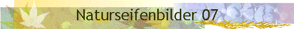 Naturseifenbilder 07